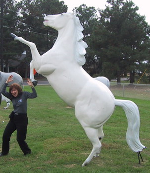 Sandra with Horse