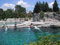 Aquarium at Mystic