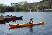 Kayaking under I-95