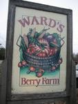 Ward's Berry Farm, Sharon