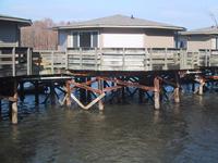 Cabin on water, Santee State Park