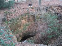 Sink Hole in the park, Santee