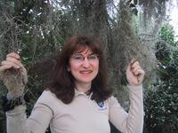 Spanish Moss at Lowcountry