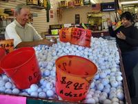 Looking for balls at Golf Ball Outlet, Hardeeville