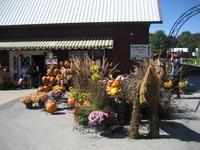 Milburn Orchards, Elkton