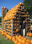 Pumpkin House at Milburn Orchards