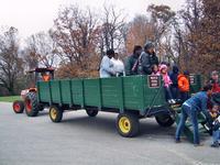 Tour group at Oxon Hill Farm