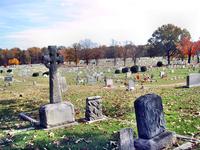 Blandford Cemetery