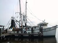 Lang\'s Marina Shrimp Boat, St Mary\'s
