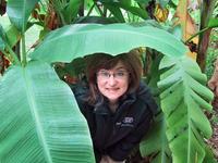 Sandra hiding at the Cape Fear Botanical Gardens