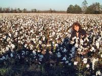 Sandra picking cotton 