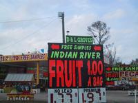 Indian River Fruit Stand - one of MANY